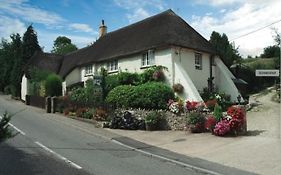 Wellington Farm Devon Near Sidmouth Beach & Aonb- Dog Friendly